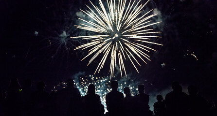 Crowd watching fireworks and celebrating new year eve