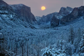 Foto op Canvas Winter Yosemite © Galyna Andrushko