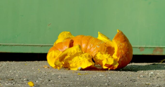 Orange pumpkin falling into the ground and scattering into pieces in super slow motion, 2000fps