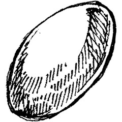 Coffee. Icon set. Isolated coffee beans on white background.