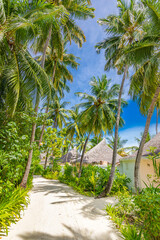 Summer vacation holiday island, vertical view of pathway with palm trees and beach villas bungalows. Luxury travel background, tropical nature, paradise island