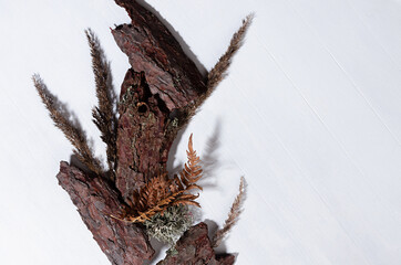 Simple modern organic abstract background with brown pieces bark, dry grass stems, leaf fern, moss with shadow on white wood board, top view.