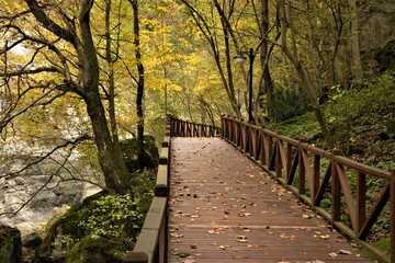 wooden bridge in the forest in Turkey.
