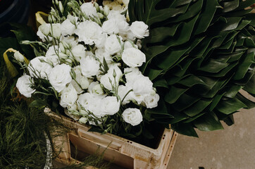 cięte róże © Martyna