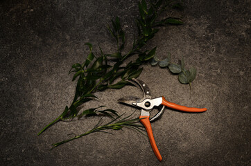 praca florysty © Martyna