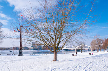 Mannheim, Germany. January 31th, 2010. In the morning, people stroll on the snow-covered meadows...