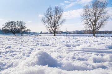 Mannheim, Germany. January 31th, 2010. The park lawn near the river Rhine covered in heavy snow.