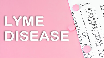 Fototapeta na wymiar Words Lyme disease on pink background, medical concept, top view