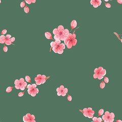 Watercolor seamless pattern with cherry blossoms on a green background, hand drawn, sakura, spring decor. For textiles, packaging, wedding design, invitations, greetings.