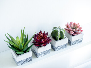 Concrete pot cubic shape or geometric cement planter for cactus and succulent plants.