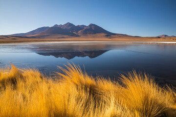 Sunrise view of Laguna de Canapa with flamingo, Bolivia, Altiplano.
