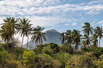 Fototapeta na wymiar Volcano with palm trees in foreground