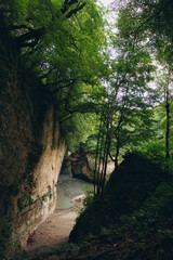 The nature of the Caucasus