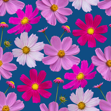 Colorful floral seamless pattern with cosmos flowers collage on blue background. Stock illustration.