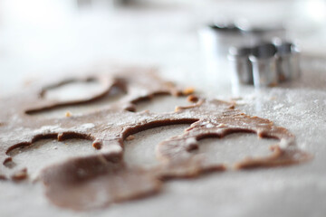 Preparing Christmas cookies at home. Gingerbread in bakery.  Christmas Smelling. Baking. Christmas time in Kitchen. Bakery. Together in Kitchen. 