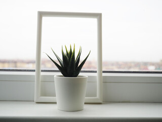 potted synthetic succulents on white window sill.
