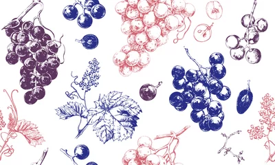 Fotobehang Seamless pattern with grape drawings, hand drawn illustration of fresh grape vines © liliya shlapak