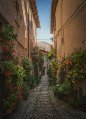 Spello picturesque street and plants. Perugia, Umbria, Italy.