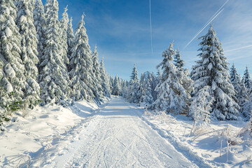 skiing trail