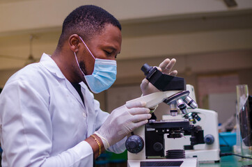 young handsome african scientist in the lab carefully carrying out experiments while using a...