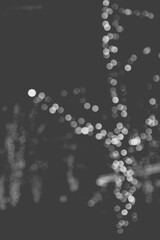 クリスマス　イルミネーション