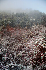 paisaje nevado en lamentaba  