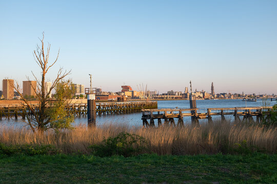 Old wooden pier in front of the skyline of Antwerp, Belgium.