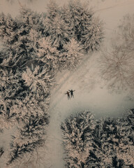people rest in the snowy forest