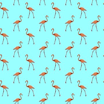 Image of a full-length pink flamingo. Animalistic digital sketch. Animal drawn by hand on a white background