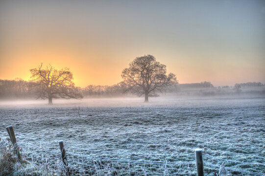 Misty and frosty sunrise in an English parkland.
