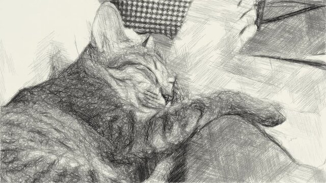 art drawing black and white of cute cat sleep