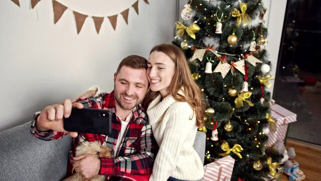 newlyweds make cool photos on the background of a green Christmas tree