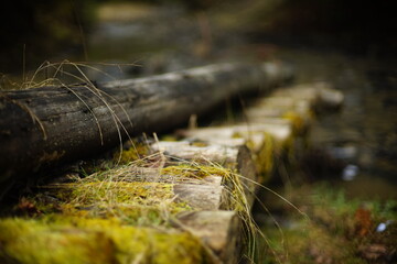 Close up view of Wooden mossy Log Bridge, deeply in the forest, old mysterious structure, non urban scene