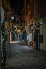 Walking in an a alley in Sestri Levante by night