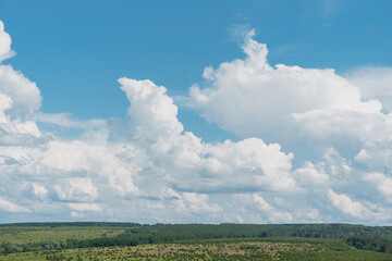 Blue sky and beautiful cloud with meadow tree. Plain landscape background for a summer poster. Best view for relaxation. High quality photo