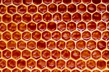 Photo sur Aluminium Abeille Background texture and pattern of a section of wax honeycomb from a bee hive filled with golden honey i
