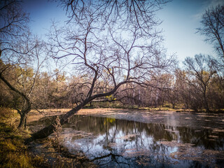 A picturesque lake among the autumn forest.
