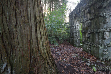 The ruins of Tivoli Park Lerryn Cornwall