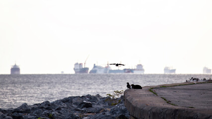 Marmara Sea coast and cargo ships, Istanbul, Turkey