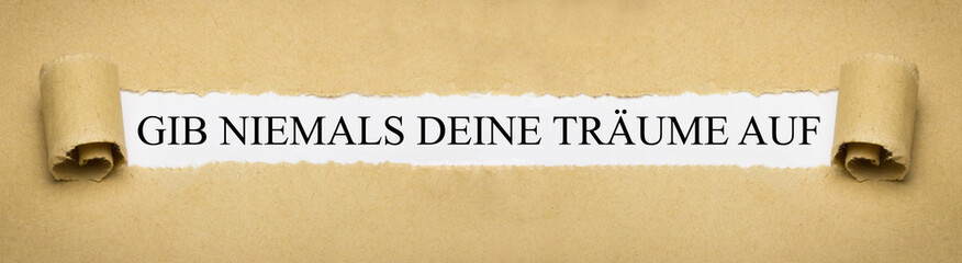 Gib niemals deine Träume auf