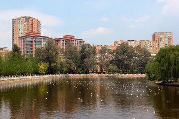 Fototapeta na wymiar Green Lake in Cuihu Park, Kunming, China