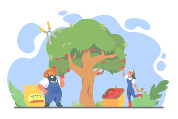 Gardening concept, tiny people illustration. Farmers picking fruit from the tree