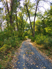 Fototapeta premium A picturesque country road in the village