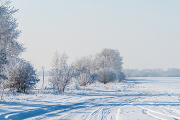 Snow covered winter field with trees and road going through to the horizon. Winter landscape. Beautiful winter nature.