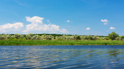 Quiet fishing spot by the river. View of the river from the bank