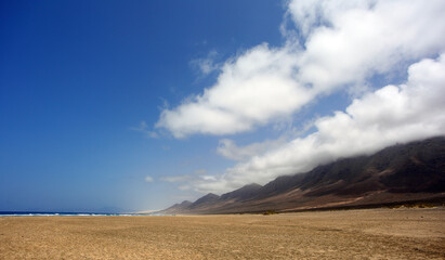 Fototapeta na wymiar duna de arena en la playa 