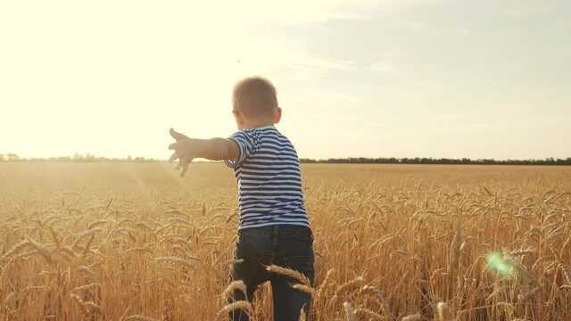 boy run across a wheat field in the park. happy family kid dream concept. boy running across a yellow field in the park. kid son run dream. happy family and childhood fun concept