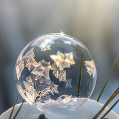 frozen soap bubble in the snow close-up
