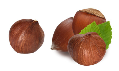 nuts and hazelnut kernels isolated on white