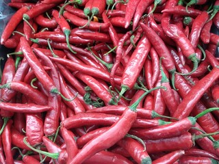 red hot chili peppers